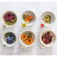 꽃차시대 선물세트(장미,캐모마일,맨드라미,구절초,금잔화 & 허브) 기념일 명절